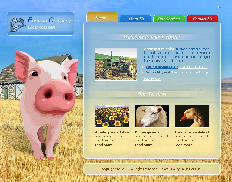Website Design 48