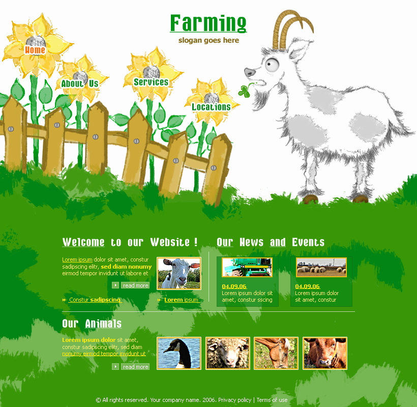 Website Design 2