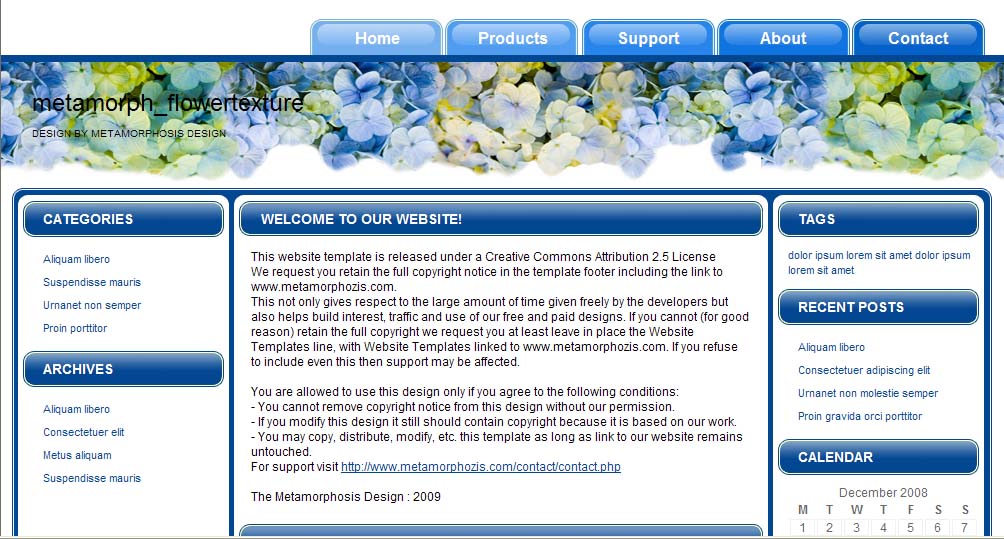 Website Design 6