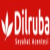 Dilruba logo