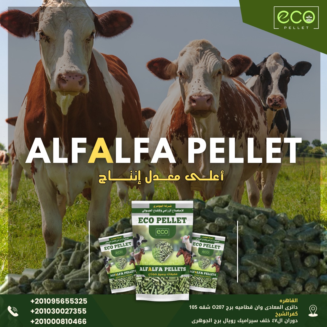 Alfalfa Meal from Eco Pellet